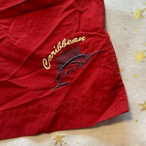 Caribbean swim shorts